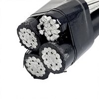 ACC ACSR Aluminium-Elektrokabel Verstärkter Blankleiter PE-Konstruktion Niederspannung 0,6/1 KV Kabel Tai Tong GB/T12706