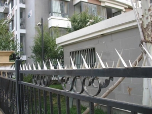 De alta calidad recubierto de <span class=keywords><strong>polvo</strong></span> galvanizado por inmersión en caliente Anti escalar la pared picos - Product Image 6