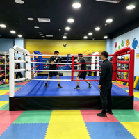 Ring de boxe sur mesure, plateforme de boxe robuste pour matchs professionnels, kickboxing, MMA, fabricant OEM ODM, vente en gros