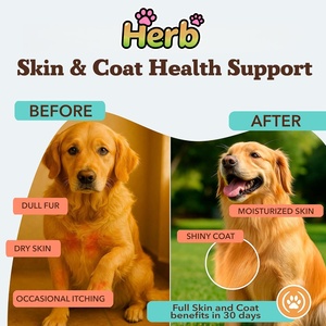 Golosinas Blandas para Perros de Marca Privada OEM/ODM, Altas en Proteínas, para la Salud de la Piel y el Pelaje, con Ácidos Grasos OMEGA para el Apoyo Inmunológico - Product Image 2