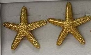 <span class=keywords><strong>Orecchini</strong></span> <span class=keywords><strong>a</strong></span> <span class=keywords><strong>Stella</strong></span> <span class=keywords><strong>Marina</strong></span> in Acciaio Inossidabile Dorato, Design Vari, Resistenti allo Sbiadimento, per Donne JQ-005 - Product Image 2