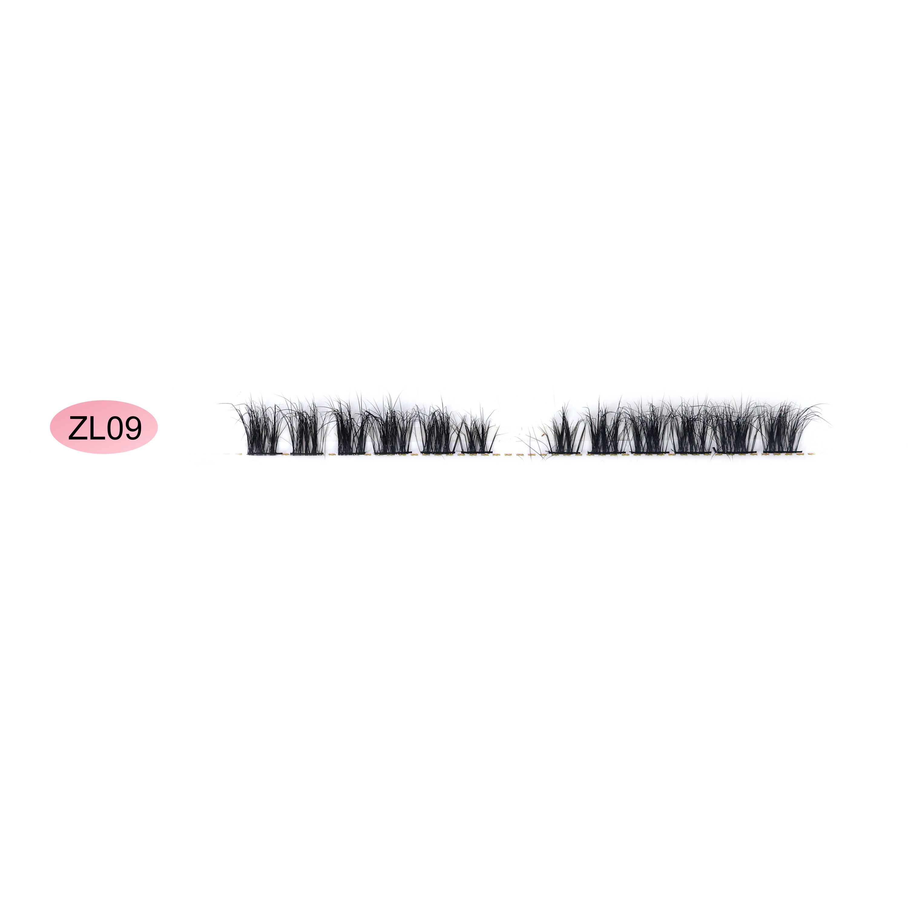 ZL09