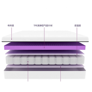 แผ่นรองนอนพับได้ TPE หนา 1.18 นิ้ว พร้อมผ้าไมโครไฟเบอร์ระบายความร้อน 400TC เพื่อการนอนหลับที่ดีต่อสุขภาพ - Product Image 4