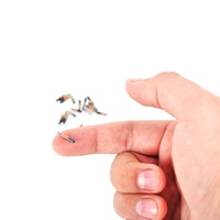Microchip RFID BIO Glasstag de 1.4*8mm para Implante en Arowana
