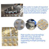 Machine automatique de fabrication de Xiao Long Bao, fournie par l'usine, pour la production commerciale de boulettes de soupe et de pains vapeur, avec garantie d'un an