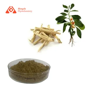 Factory Supply Ashwagandha Extract Withanolides Ashwagandha Root Extract Ashwagandha Powder