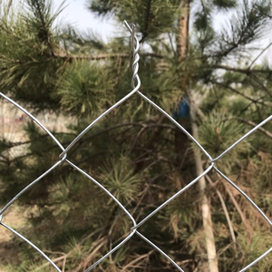 Malla de Alambre Galvanizado Sostenible para Cercas de Eslabones, para <span class=keywords><strong>la</strong></span> Protección de Parques Ecológicos <span class=keywords><strong>y</strong></span> Espacios Verdes - Product Image 1