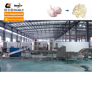 Xinlongjia khô tỏi gừng bột dây chuyền chế biến máy hành tây bột nhà máy sản xuất gừng tỏi dán máy làm - Product Image 5