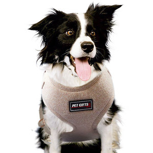 Ensemble de harnais pour <span class=keywords><strong>chien</strong></span> personnalisé, sûr, réfléchissant et respirant, avec sac à déjections canines, tendance pour les voyages et les jouets à mâcher - Product Image 4
