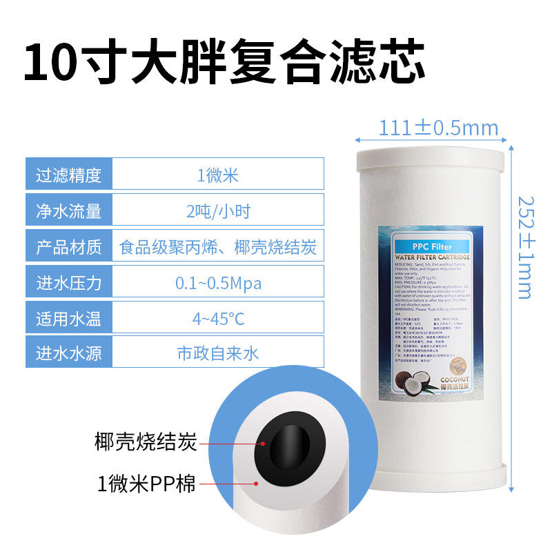 Grand élément filtrant composite de 10 pouces