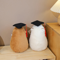 Vente chaude Nouveau Dr. Capibala Peluche Capybara Graduation Chapeau Poupée Ph.D Bachelor Master Peluche PP Coton Soulagement Du Stress