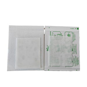 Patch analgésique original de haute qualité Green Tiger pour les muscles/dos/articulations/cou/douleur, autocollant de soins de santé, plâtre aux herbes naturelles - Product Image 5