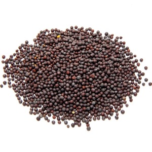 Graines <span class=keywords><strong>de</strong></span> <span class=keywords><strong>moutarde</strong></span> noire entières <span class=keywords><strong>de</strong></span> qualité supérieure pour la cuisine, l'assaisonnement, les marinades, les mélanges d'épices en vrac, fournitures <span class=keywords><strong>de</strong></span> cuisine - Product Image 4