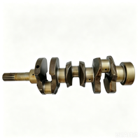 Vilebrequin en fonte pour moteur diesel Kubota D1005 1G06723013