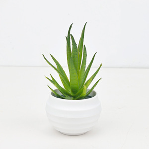 Mini Plante Succulente Artificielle <span class=keywords><strong>Aloe</strong></span> <span class=keywords><strong>Vera</strong></span> 7cm, Style Nordique Simple et Créatif, Origine Chine, pour Maison et <span class=keywords><strong>Bureau</strong></span> - Product Image 3