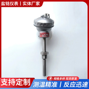 Salt Inscription Pt100 Temperature Sensor Wzpk Six Wire Screw Terminal For Batching Plants - Product Image 5