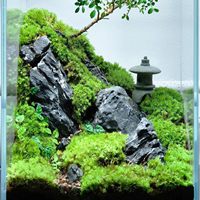 Décorations d'aquarium en silicone phosphorescent PKY, poissons-clown colorés simulés, ornements de paysagisme pour aquarium