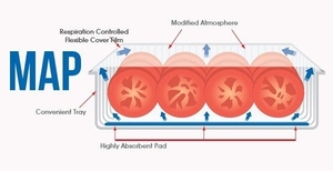 Macchina imballatrice completamente automatica per sigillatura di vassoi e frutti di mare piatti prematti macchina per sigillare vassoio continuo per prodotti a base di carne - Product Image 4