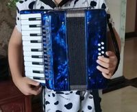 Chromatic 22-Key 8-Bass Portable Student Wood Accordion Blue