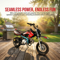 Pesanan Grosir Motor Trail Mini 125cc 4 Tak Struktur Kokoh Berbahan Bakar Gas untuk Remaja