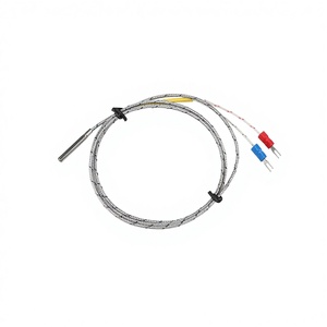 مستشعر حراري من الفولاذ المقاوم للصدأ عالي الحرارة بسلكين Pt1000 مستشعرات RTD صغيرة Pt100 قابلة للتخصيص حسب الطلب XRKC للأوتوكلاف - Product Image 3