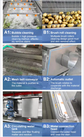 Roterende Multifunctionele Groenten Aardappelwasmachine Groentefruit Industrieel Wassen En Schilmachine Aardappel