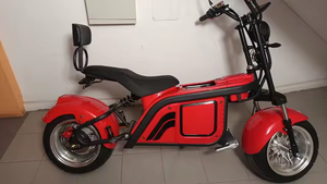 2025 actividad promocional <span class=keywords><strong>Hulk</strong></span> 60V 1500W 2000W 3000W Motor grande eléctrico Harley Fat Tire motocicleta Scooter Eléctrico Citycoco - Product Image 6