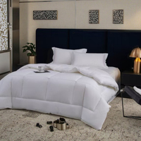 Couette d'hiver matelassée moderne de style Hilton, douce, moelleuse et chaude, taille Queen, garnissage en polyester, couettes d'hôtel bon marché en Chine