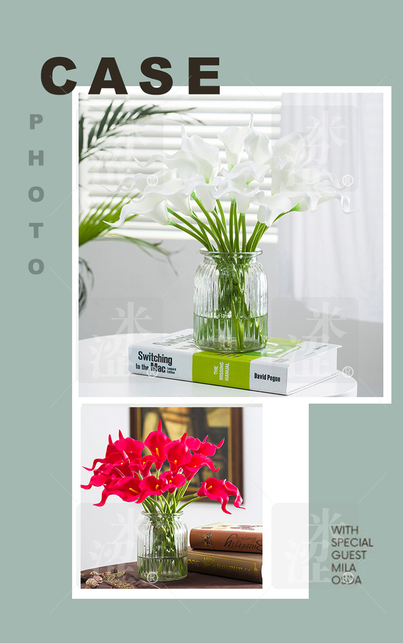 Semi,photoshoot service,20 years ecommerce experience,amazon photographer service, product photography,ebay,A+,EBC photo,social
