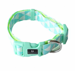 Factory Best Multi-Farben Premium Nylon Gurtband Personal isierter Druck Verstellbares Hunde halsband für Haustiere - Product Image 6