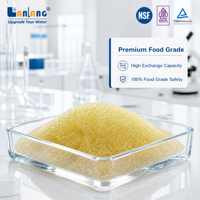 Résine échangeuse d'ions cationique à haute capacité certifiée NSF de qualité alimentaire, équivalente à TC008, pour humidificateur ultrasonique
