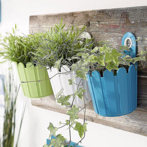Fioriera da Parete Mini per Esterni, Vaso in PVC per Giardino e Balcone con Design Minimalista per Uso Domestico - Product Image 6