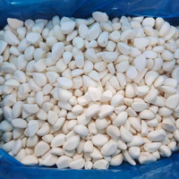 Ail en gousses surgelé en vrac, emballé sous vide