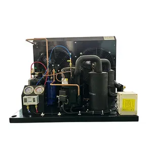 Tag2516z Tecumseh Compressor Koeleenheid Vriezer R404a Condensatie-Eenheid Voor Walk In Vriezer Kamer