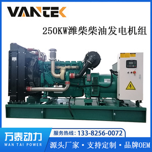 เครื่องกำเนิดไฟฟ้าดีเซล Jiangsu Wantai ขนาด 250 กิโลวัตต์ 400 โวลต์ 50 เฮิรตซ์ 1500 รอบต่อนาที พร้อมระบบ ATS สำหรับสำรองไฟฟ้าในโรงแรม - Product Image 5