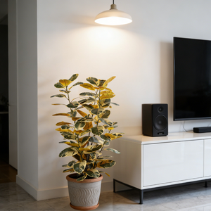 ต้นไม้ยางปลอมหลากสีขายดีของ Nifloral ขายส่งต้นไม้ปลอมในกระถางสำหรับตกแต่งภายในบ้าน - Product Image 4