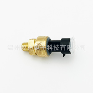 Capteur de pression 100CP2-53, jauge 0-60 bar, installation filetée - Product Image 1