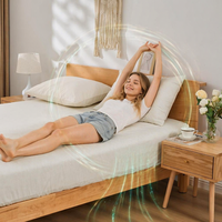 Draps de lit de mise à la terre EarthingTek certifiés CE RoHS, 20 % fibres d'argent, 300 fils, toutes saisons, écologiques, haute conductivité pour