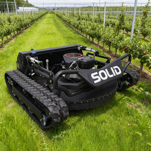 Tagliaerba Mini Fuoristrada Telecomandato ad Alte Prestazioni per Manutenzione di Prati, Giardini e Fattorie - Product Image 1