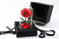 Rose éternelle artisanale préservée sous cloche en verre avec boîte cadeau pour Thanksgiving, Noël ou décoration d'événements