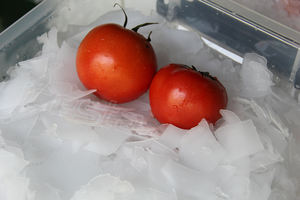 ICESTA Larga vida útil <span class=keywords><strong>Evergy</strong></span> Saving 80 toneladas Contenedor Flake Ice Plant con planta de hielo automática - Product Image 4