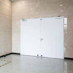 Cửa thép đôi thương mại hiện đại với CE/ul chống cháy <span class=keywords><strong>60</strong></span>/90/120 PHÚT bề mặt hoàn thiện theo phong cách thiết kế hiện đại - Product Image 2