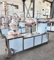 Charente Still Voor Drankgedistillatie Rum Cognac Fruit Wijn Reflux Stills