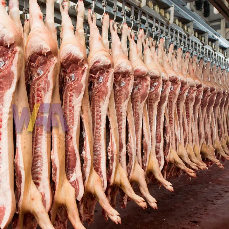 Equipo de matanza de cerdos de buena calidad en matadero Máquina de matanza de cerdas para mataderos de cerdos