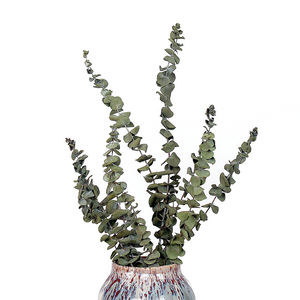 <span class=keywords><strong>Fleurs</strong></span> <span class=keywords><strong>séchées</strong></span> en gros et <span class=keywords><strong>bouquet</strong></span> <span class=keywords><strong>de</strong></span> <span class=keywords><strong>fleurs</strong></span> végétales feuilles d'<span class=keywords><strong>eucalyptus</strong></span> naturelles pour la décoration <span class=keywords><strong>de</strong></span> désherbage à la maison - Product Image 6