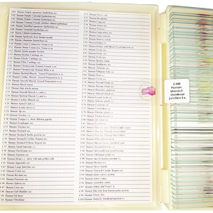 ชุดสไลด์ Histology ของมนุษย์100ชิ้นวัสดุแก้วและเรื่องอื่นๆ - Product Image 2
