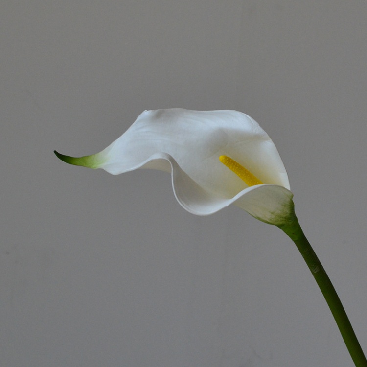 1# Blanco - El MOQ para cada artículo es de 10 piezas.