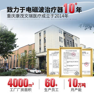 Lampe de thérapie TDP Zhihao avec minuterie numérique et contrôle de la température, appareil médical vertical à tête unique, métal blanc, 11,5 kg - Product Image 5