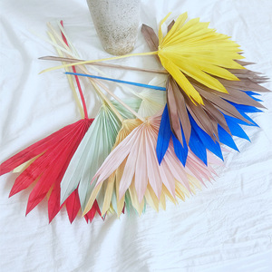 Abanico conservado color hojas de <span class=keywords><strong>palma</strong></span> secas <span class=keywords><strong>Palma</strong></span> decorativa hojas de <span class=keywords><strong>girasol</strong></span> Decoración flor seca - Product Image 2