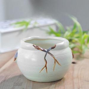وعاء سيراميك صغير على شكل إبهام بتصميم زاكا من إم إس إتش للنباتات العصارية والصبار - Product Image 6